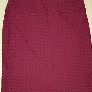 Woman's Skirt